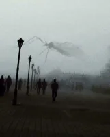 Каааааартошка домашняя свежая разваристая очень вкуснаяяяяяяя.