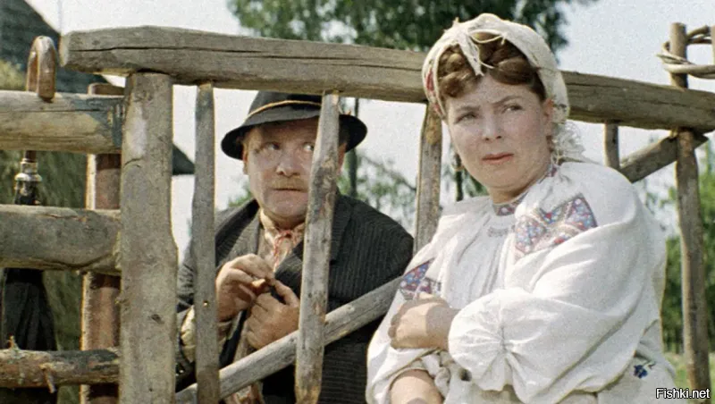 Солянка от 25.11.2022