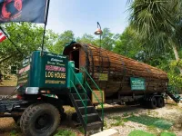 ТС так и не определился это бревенчатый дом или из цельного дерева.

Лично я "цельного ствола секвойи" так и не увидел... бочка, как бочка. Снаружи стянутые обручами бревна (доски). Внутри так же отчетливо видны стыки.