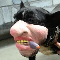Не такой?:)