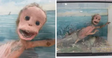 Ну дык с русалками та же тема . Те кто их создавал никогда их не видел . Поэтому то они и похожи на этого льва .