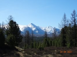 Алтай