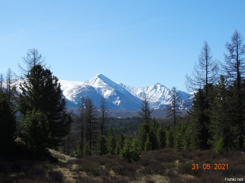 Алтай