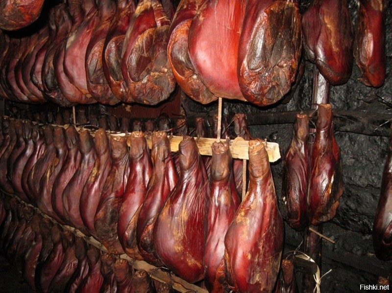 Солянка от 26.11.2022