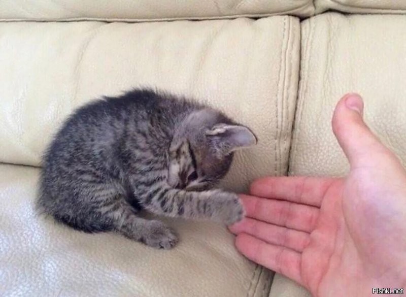 Здравствуйте)