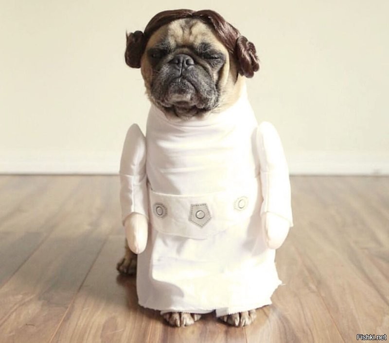 Я так понял, ты сегодня первый халат надел...