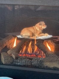 Я бы сказал, что это корейская кухня.