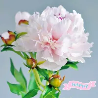 Как снимали культовую драму «Телохранитель» с Уитни Хьюстон