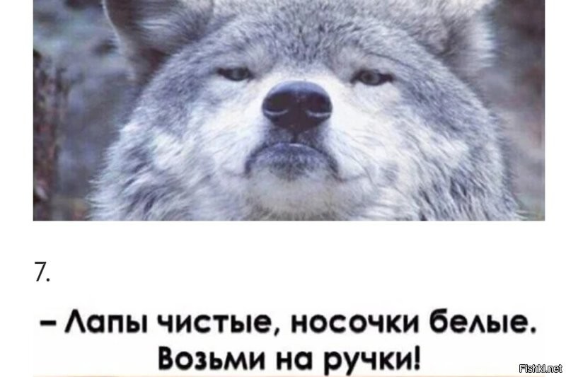 Солянка от 26.11.2022