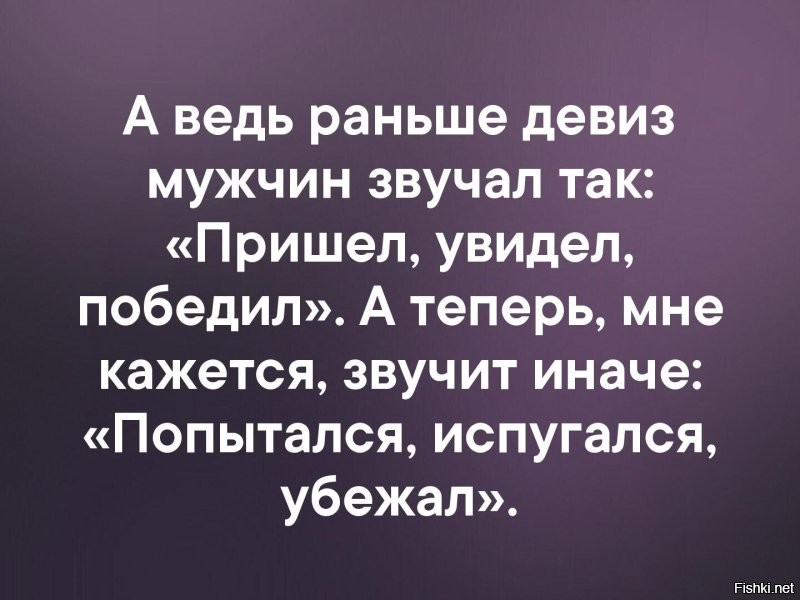 Солянка от 26.11.2022