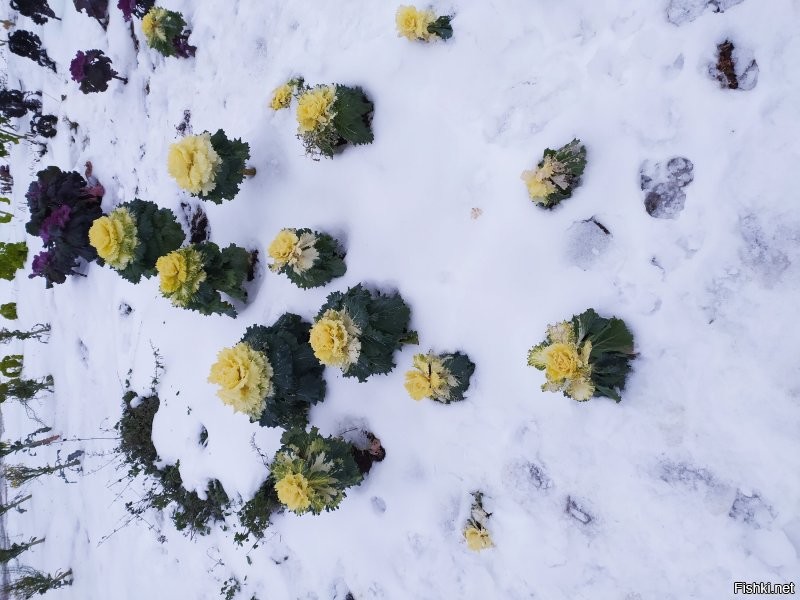 Сейчас уберём