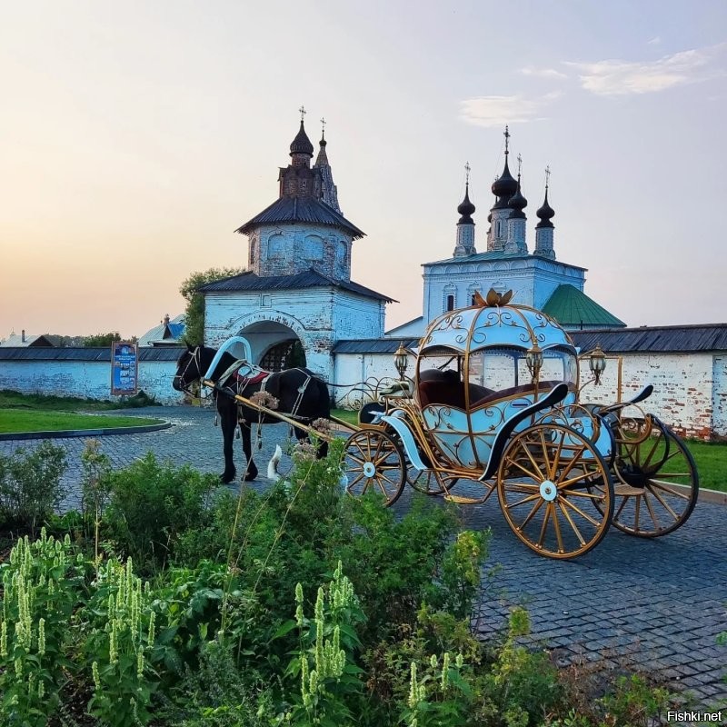 Солянка от 26.11.2022