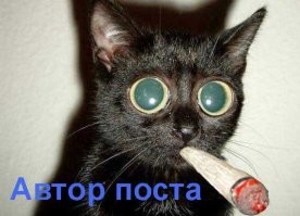 Закон о запрете пропаганды пищевых извращений - нужен или нет?