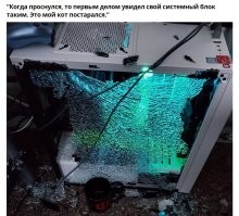 35 человек, чей день определенно не задался