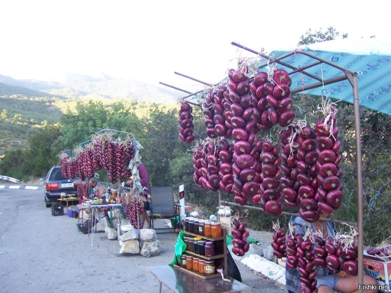 Это совсем другой лук-сладкий...