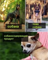 Недоразумение а не собака.