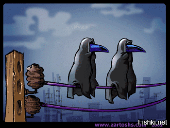 Солянка от 25.11.2022