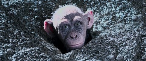 20 фотографий, доказывающих, что наши глаза очень легко обмануть