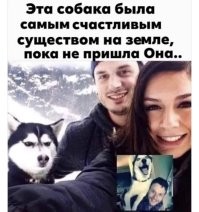 Смешные и познавательные картинки