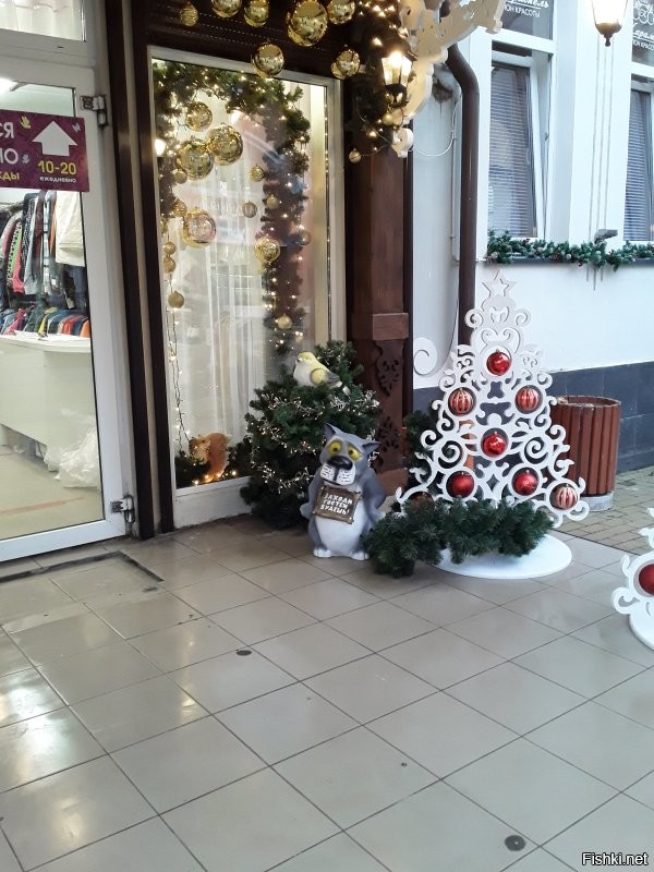 Зеленоградск. Первые фото с прошлого года. Остальные 6 уже сейчас. Пока на площади ещё ёлку не ставили, но весь город уже принаряжается.
 А на эти из поста плевать. Тем более что ни на одном нет ничего особо выдающегося. А в европии вообще в этом году с экономией непонятно что и где будет.