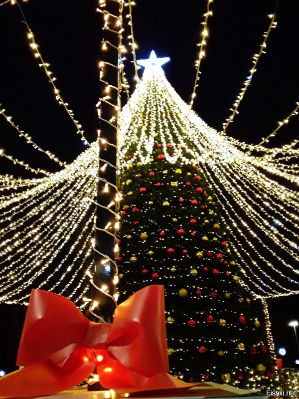 Зеленоградск. Первые фото с прошлого года. Остальные 6 уже сейчас. Пока на площади ещё ёлку не ставили, но весь город уже принаряжается.
 А на эти из поста плевать. Тем более что ни на одном нет ничего особо выдающегося. А в европии вообще в этом году с экономией непонятно что и где будет.