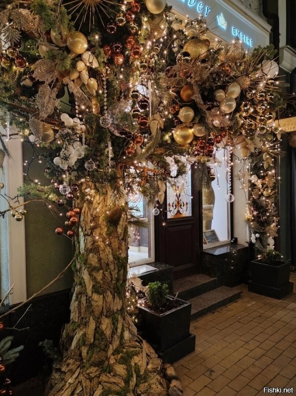 Зеленоградск. Первые фото с прошлого года. Остальные 6 уже сейчас. Пока на площади ещё ёлку не ставили, но весь город уже принаряжается.
 А на эти из поста плевать. Тем более что ни на одном нет ничего особо выдающегося. А в европии вообще в этом году с экономией непонятно что и где будет.