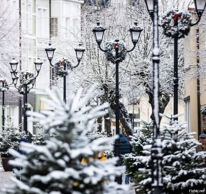 Зеленоградск. Первые фото с прошлого года. Остальные 6 уже сейчас. Пока на площади ещё ёлку не ставили, но весь город уже принаряжается.
 А на эти из поста плевать. Тем более что ни на одном нет ничего особо выдающегося. А в европии вообще в этом году с экономией непонятно что и где будет.
