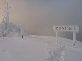 Йожика картинки. Выпуск 247