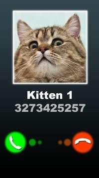 Йожика картинки. Выпуск 247