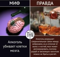 Йожика картинки. Выпуск 247