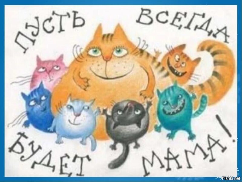 Солянка от 27.11.2022