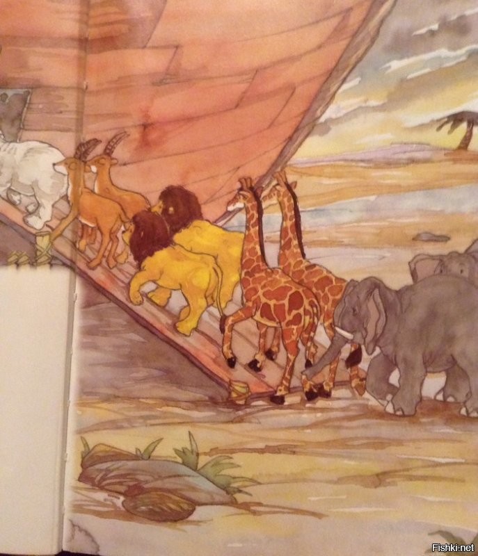 Львы обречены