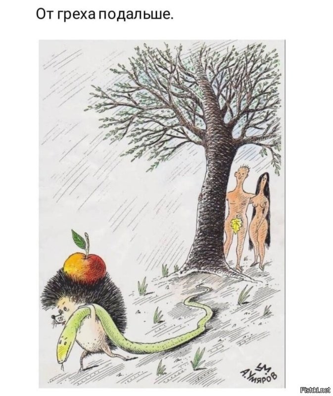 Солянка от 27.11.2022