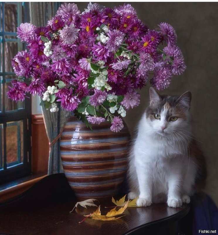 Солянка от 27.11.2022