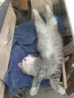 Всем спокойной ночи