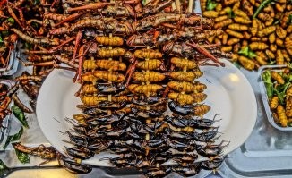 Вкусняшки.