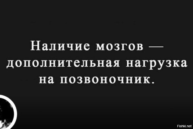 Солянка от 27.11.2022