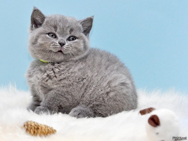 С праздником мама!