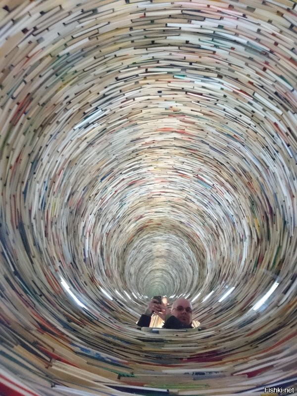 Книжный тоннель сквозь Землю в библиотеке Праги.