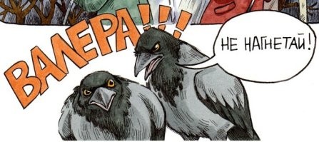 Йожика картинки. Выпуск 248