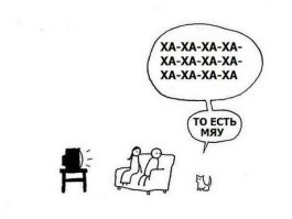 Мужика чуть из дома не выгнали из-за кошки-клептоманки