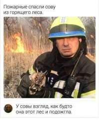 Смешные и познавательные картинки