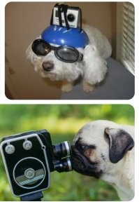 Почему нет?