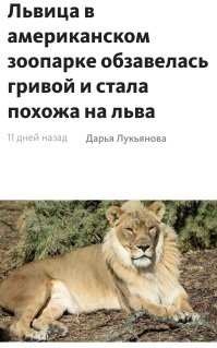 Йожика картинки. Выпуск 248