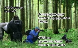 Йожика картинки. Выпуск 248