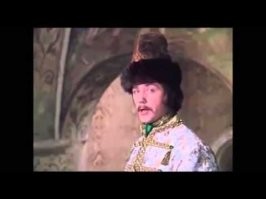 Котёнок нашёл себе достойного противника