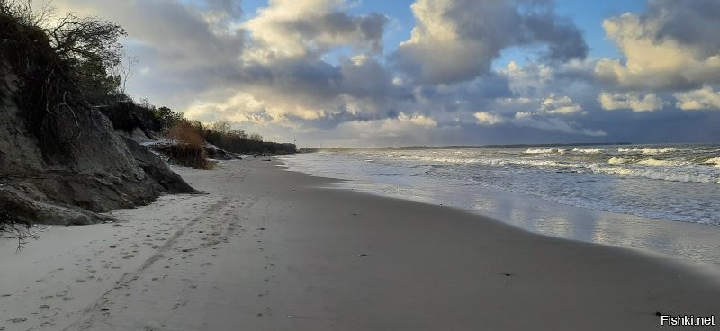 Как тут уже отмечали, что красота в глазах смотрящего и видящего. Красоту можно увидеть даже не выходя из дома. Или отойдя лишь чуть от порога. Для этого ехать на другой край мира необязательно. А чтобы запечатлеть красотищу, надо лишь чуточку удачи и хороший фотик. Вот например радугу над морем я ухватила пока поджидала машину, отвозящую меня на работу. Остальные фото моря и даже болота и лебедей на этом болоте, я снимала просто прогуливаясь со своими собаками совсем недалеко от дома. А вот так прощался с нами Питер в последний день отпуска. Человек может украшать природу. А вот так у меня на работе цветёт вишня.