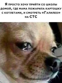 У нас папа жарил гениальную картошку.
И я её больше никогда не попробую.