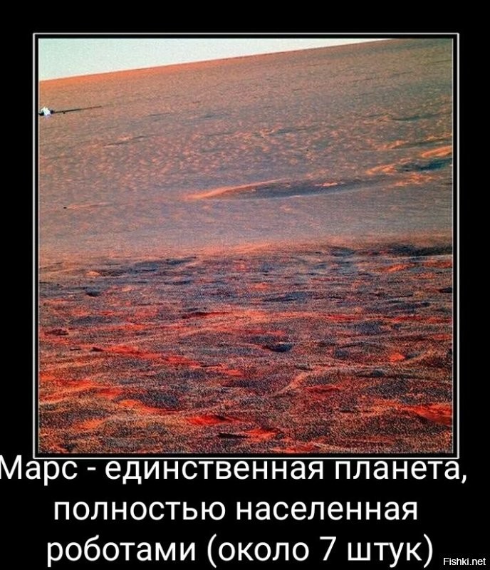 Солянка от 28.11.2022