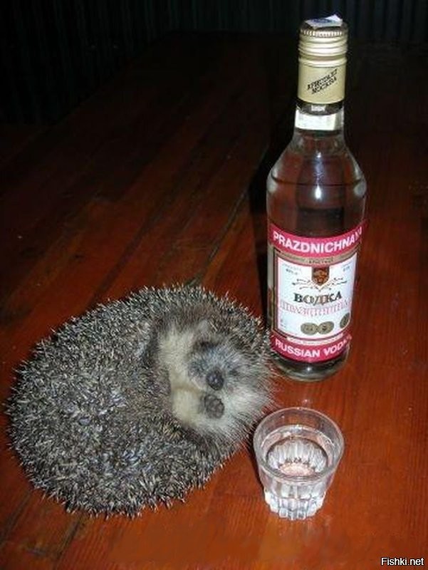 Доброе всем